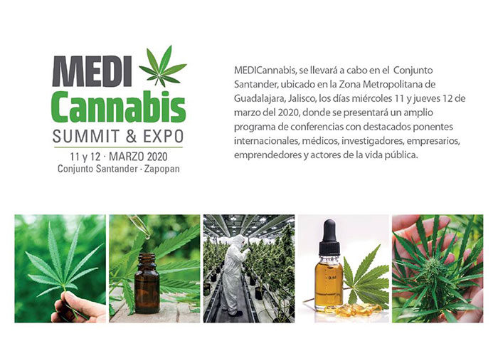 TALLER TEÓRICO: EL AUTOCULTIVO EN CASA: MÁS SENCILLO DE LO QUE CREES