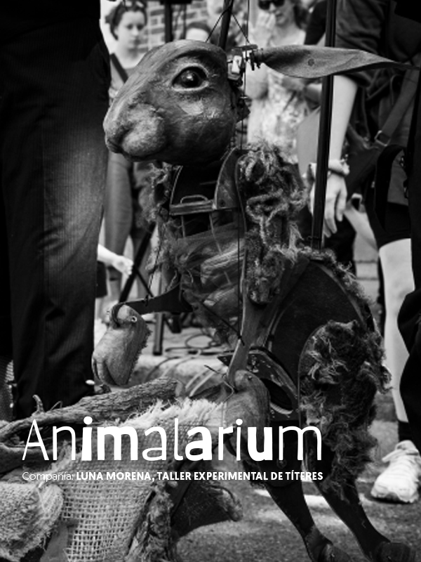 Festín de los Muñecos 2025 en conjunto Santander