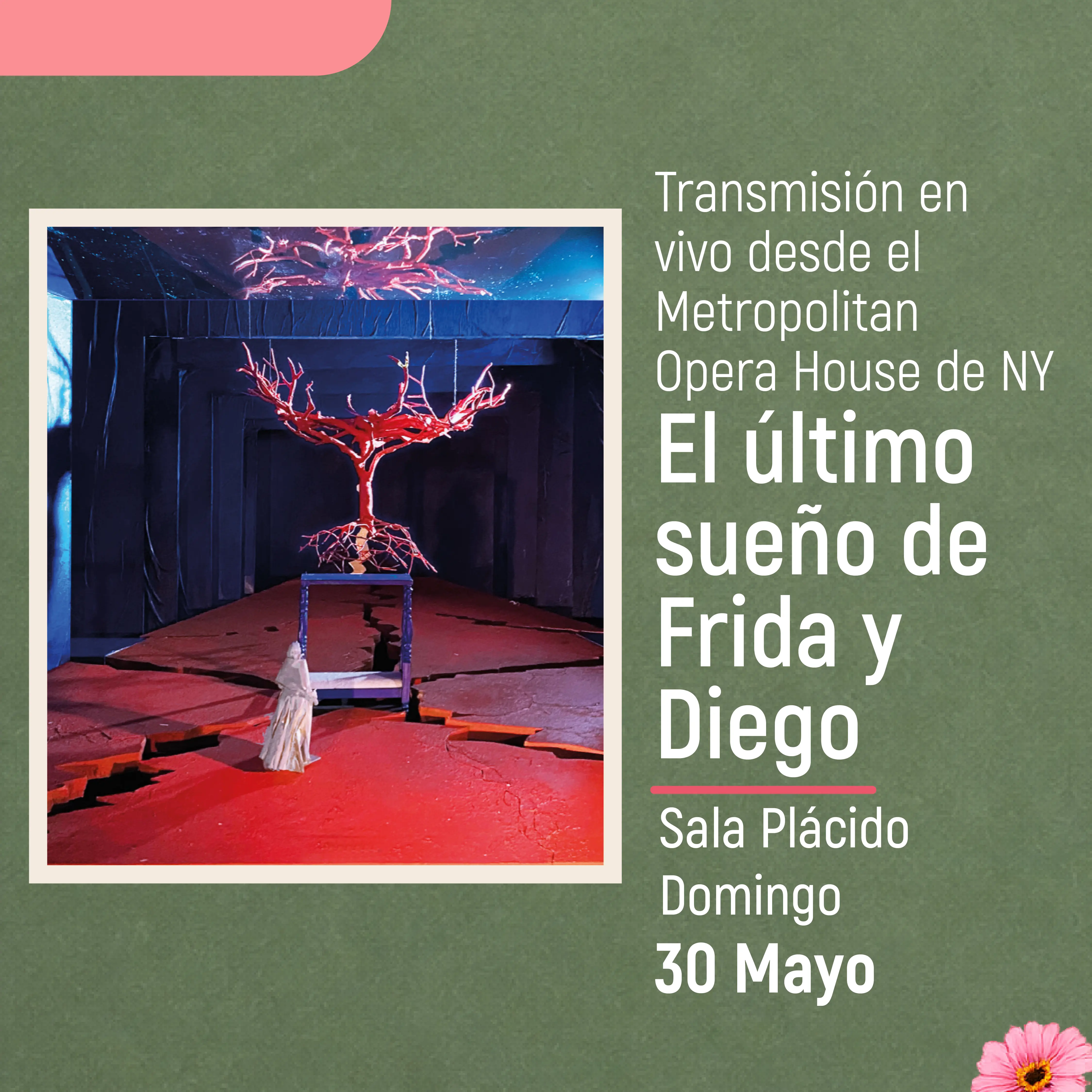 Evento Día de las Madres 8